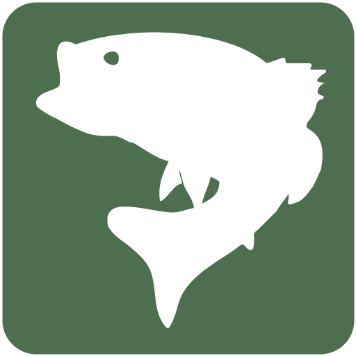 The ReelBig App